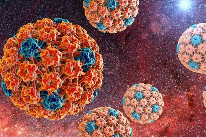 comment se transmet le papillomavirus humain